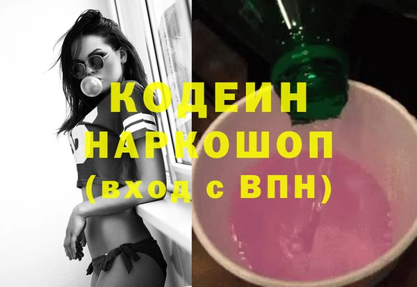 хмурый Снежногорск
