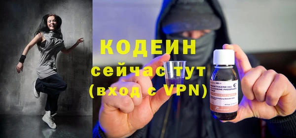 прущие грибы Слюдянка