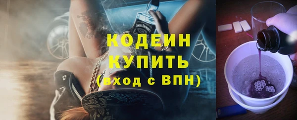 apvp Бородино