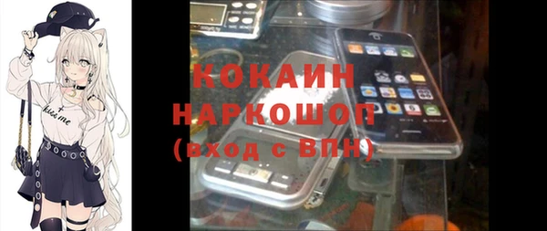apvp Бородино