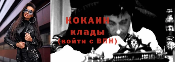 молекула духа Бронницы