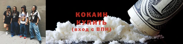 apvp Бородино