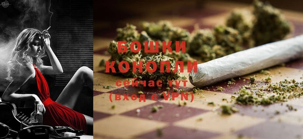 молекула духа Бронницы