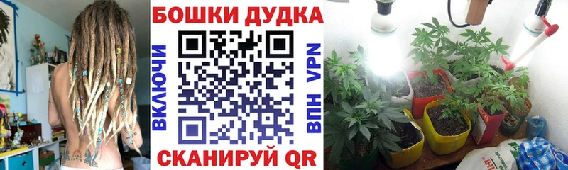 Марихуана семена  купить наркоту  Нижнекамск 